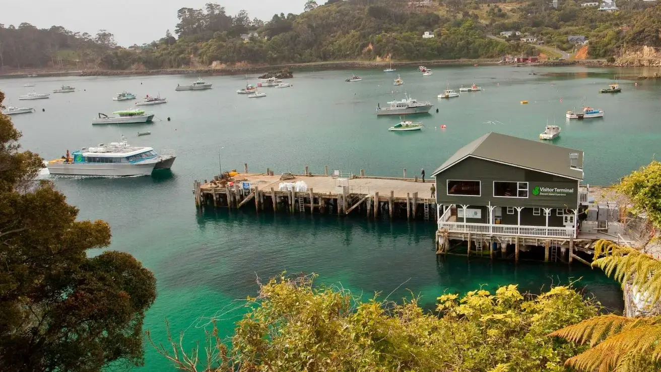 Island in the Foveaux Strait near Stewart Island